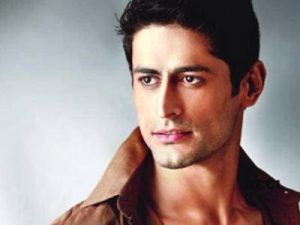 Mohit Raina Net Worth