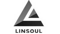linsoul